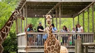 Sedgwick County Zoo Named Among Nation’s Top 10 Zoos (Live in Kansas)