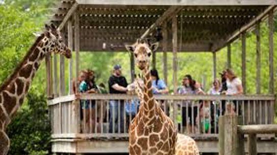Sedgwick County Zoo Named Among Nation’s Top 10 Zoos